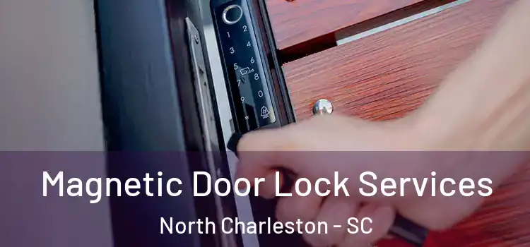 Magnetic Door Lock Services North Charleston - SC